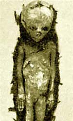 История таинственных дропа История таинственных дропа